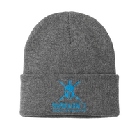 Gray beanie with blue Spartan logo on a white background